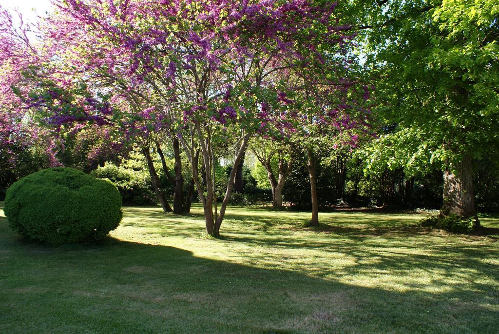 Chateau De Grenier Bed & Breakfast Saint-Leger  Exterior photo