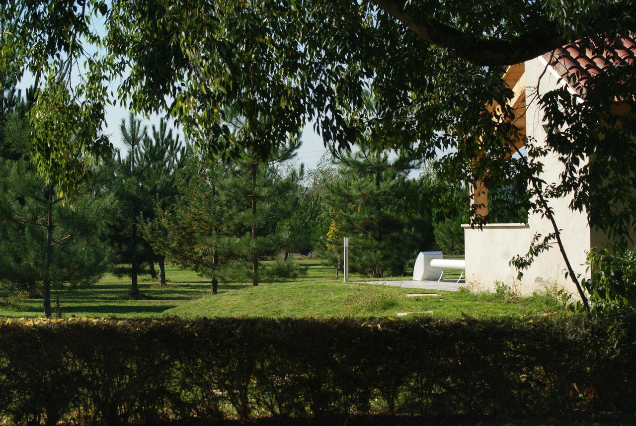 Chateau De Grenier Bed & Breakfast Saint-Leger  Exterior photo